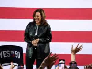 Five key takeaways from Democrats’ autopsy report on Kamala Harris’s loss | Kamala Harris News | ACTPnews
