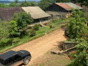 ‘A landmark’: Brazil’s prosecutors hail court ruling to preserve Fordlandia | History News | ACTPnews