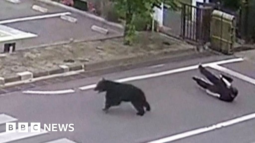 Man attacked by bear at steel works in Japan | ACTPnews