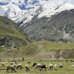 Breakthrough achieved in Zojila Tunnel, likely to open for public in 2028 | India News | ACTPnews