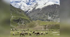 Breakthrough achieved in Zojila Tunnel, likely to open for public in 2028 | India News | ACTPnews