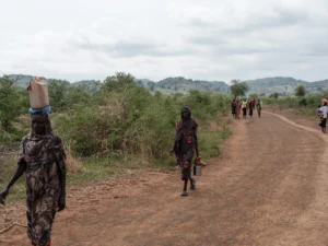 Drone strikes on central Sudanese city kill up to 23: NGO | Sudan war News | ACTPnews