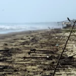 Venezuela hits out at Trinidad and Tobago in oil spill spat | Oil and Gas News | ACTPnews