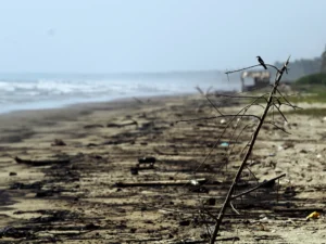 Venezuela hits out at Trinidad and Tobago in oil spill spat | Oil and Gas News | ACTPnews
