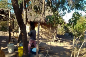 Zimbabwe’s climate migrants fear eviction as crackdown intensifies | News | ACTPnews