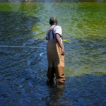 Why Washington’s reflecting pool has gone from ‘US blue’ to algae green | Donald Trump News | ACTPnews