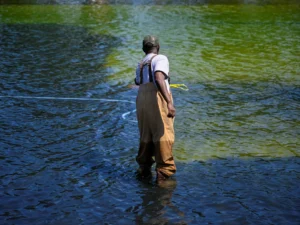 Why Washington’s reflecting pool has gone from ‘US blue’ to algae green | Donald Trump News | ACTPnews