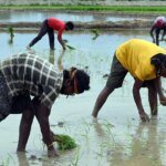 Weak monsoon emerges as India’s next economic problem after crude oil | India News | ACTPnews