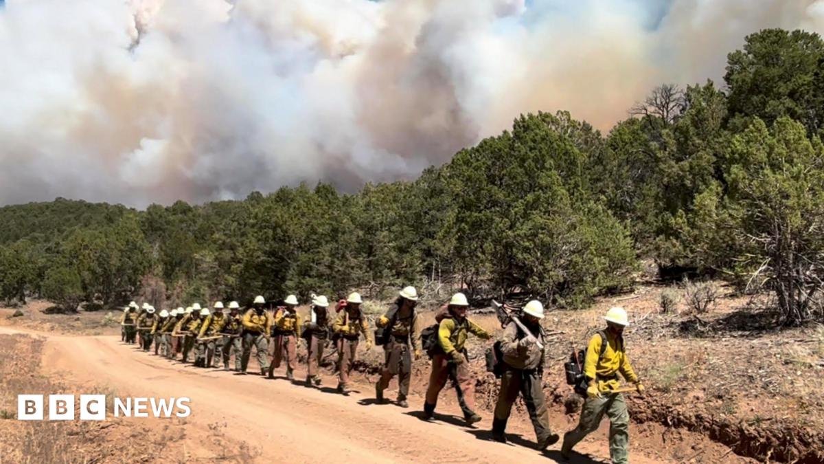 Three firefighters die battling huge wildfires in Colorado | ACTPnews