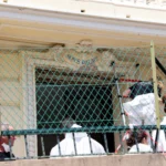 Monaco prosecutors say no ‘terror’ evidence after blast, suspect at large | Crime News | ACTPnews
