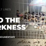 Into the Darkness | Crimes Against Humanity | ACTPnews