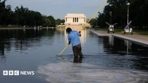 Former Olympian David hearn indicted for allegedly vandalising reflecting pool | ACTPnews