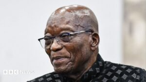 Jacob Zuma showing South Africa ‘middle finger’ by meeting Ajay Gupta – minister | ACTPnews