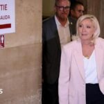 Marine Le Pen to run for French presidency and appeal conviction in top court | ACTPnews