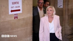 Marine Le Pen to run for French presidency and appeal conviction in top court | ACTPnews