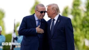 Trump looms large as Nato grapples with challenge of rearming Europe | ACTPnews