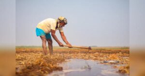 Climate-driven heatwave worsening cost-of-living crisis, says report | India News | ACTPnews