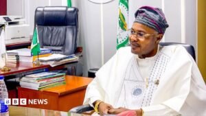 Adeniyi Adeyemi’s PFIPC: How a fake presidential council ended up in Nigeria’s national budget | ACTPnews