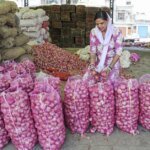 Onion growers urge Maharashtra govt to prioritise rain-hit farmers | India News | ACTPnews