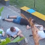 People flee as Russian strike hits near Ukraine coffee shop | ACTPnews