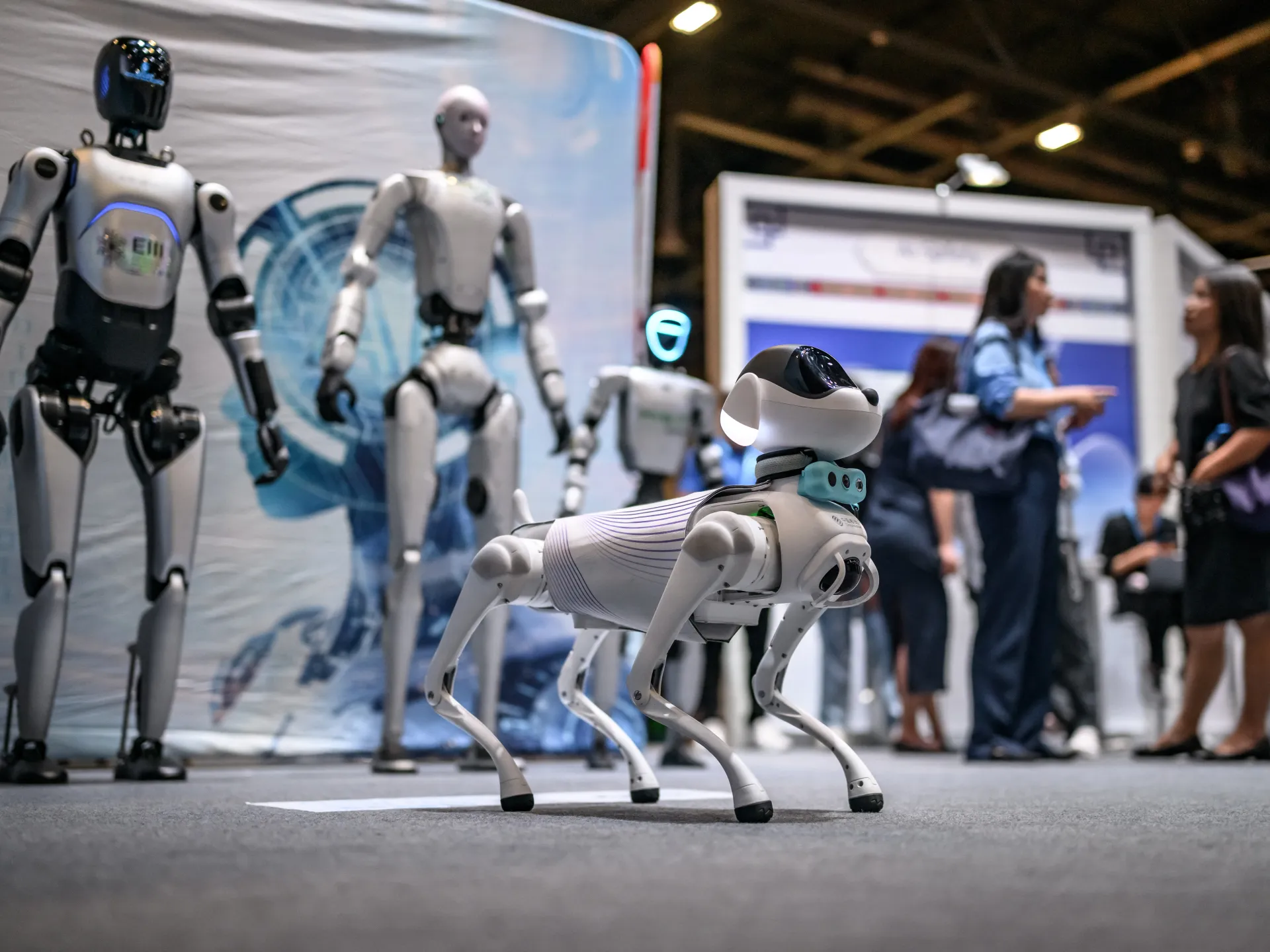Hundreds of experts warn the world must prepare now for AI’s impact | Business and Economy News