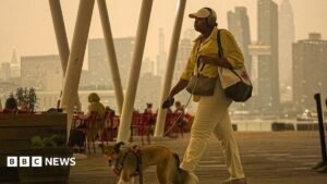 More than 800 Canadian wildfires burning as air quality alerts extend to US | ACTPnews