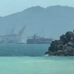IEA chief warns Strait of Hormuz crisis threatens global energy security | Conflict News | ACTPnews