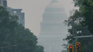 Trump threatens Canada with steeper tariff costs over wildfire smoke | Donald Trump News | ACTPnews