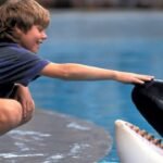 ‘Free Willy’ Reboot in the Works at Warner Bros. | ACTPnews