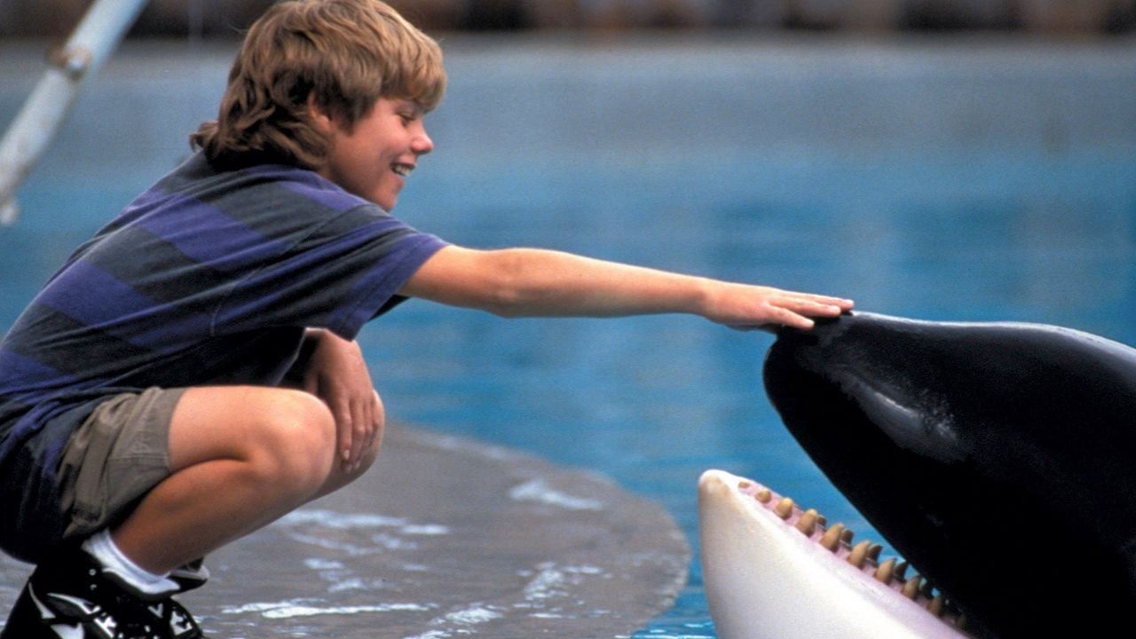 ‘Free Willy’ Reboot in the Works at Warner Bros. | ACTPnews