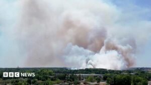 Two French firefighters die tackling blaze near Bordeaux airport | ACTPnews