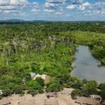 Brazil’s Amazon sees sharp decline of area burned in 2025 | ACTPnews
