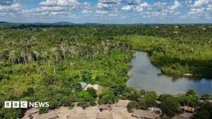 Brazil’s Amazon sees sharp decline of area burned in 2025 | ACTPnews