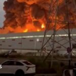 Wildberries: Russia’s businesses under strain from Ukraine’s attacks on retail warehouses | ACTPnews