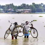 Floods claim 41 lives in Assam, rains trigger mass evacuations in Gujarat | India News | ACTPnews