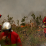 Firefighters battle France wildfire as tens of thousands evacuated near Bordeaux | ACTPnews