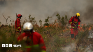 Firefighters battle France wildfire as tens of thousands evacuated near Bordeaux | ACTPnews