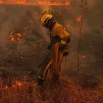 What’s causing the unprecedented wildfires in Europe? | Climate News | ACTPnews