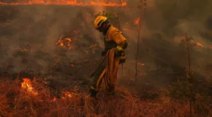 What’s causing the unprecedented wildfires in Europe? | Climate News | ACTPnews