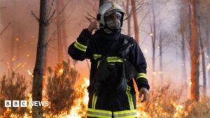 Wildfire now nine miles from French city of Bordeaux, mayor warns | ACTPnews
