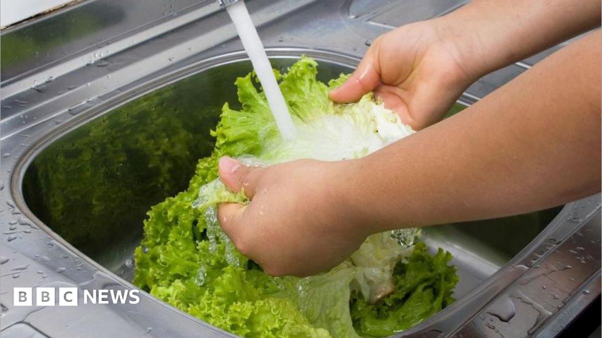 A person washing lettuce under running water.