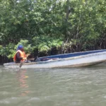 How Gambian women are restoring the mangroves protecting Banjul | News | ACTPnews
