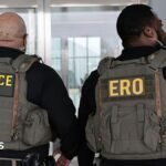ICE equipping agents with gloves that deliver electric shocks | ACTPnews