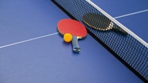 TTFI asks Sports Ministry to keep suspension order on hold | ACTPnews