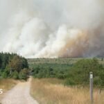 Belgian firefighters battle blaze tearing through nature reserve | ACTPnews