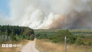Belgian firefighters battle blaze tearing through nature reserve | ACTPnews