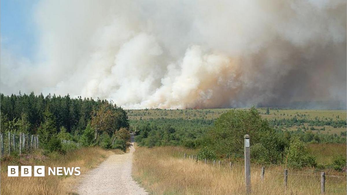 Belgian firefighters battle blaze tearing through nature reserve | ACTPnews