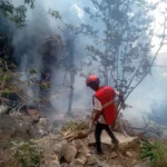 Seven people, mostly foreign tourists, killed in helicopter crash in Kenya | Transport News | ACTPnews