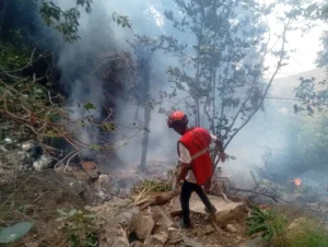 Seven people, mostly foreign tourists, killed in helicopter crash in Kenya | Transport News | ACTPnews