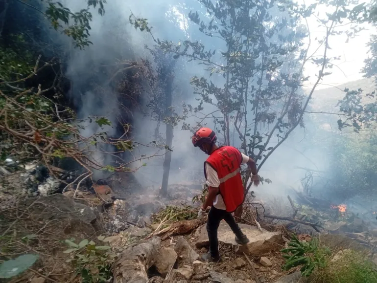 Seven people, mostly foreign tourists, killed in helicopter crash in Kenya | Transport News | ACTPnews